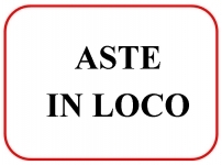 foto articolo