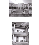 foto articolo