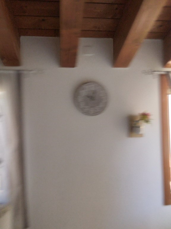 foto articolo