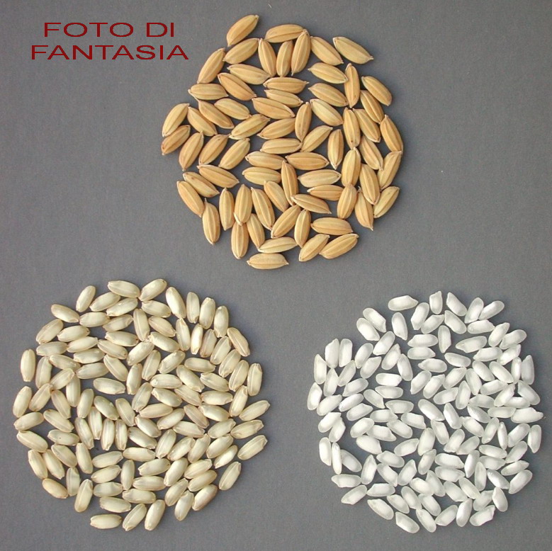 foto articolo